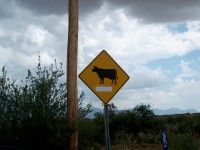 signs on the side of road 